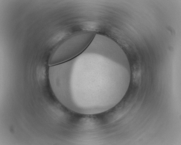 X0000115320211200911231357