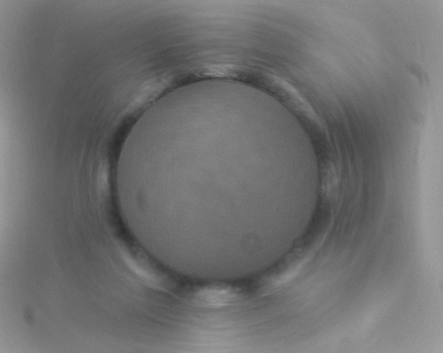 X0000115320213200911231357