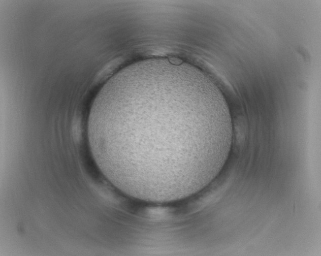 X0000115320216200911231357