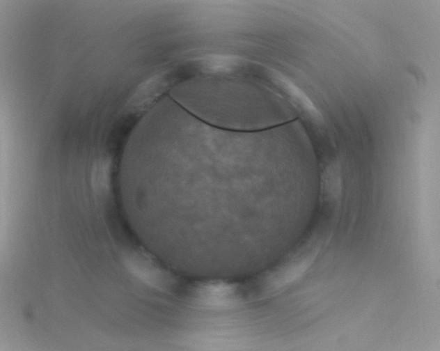 X0000115320217200911231357