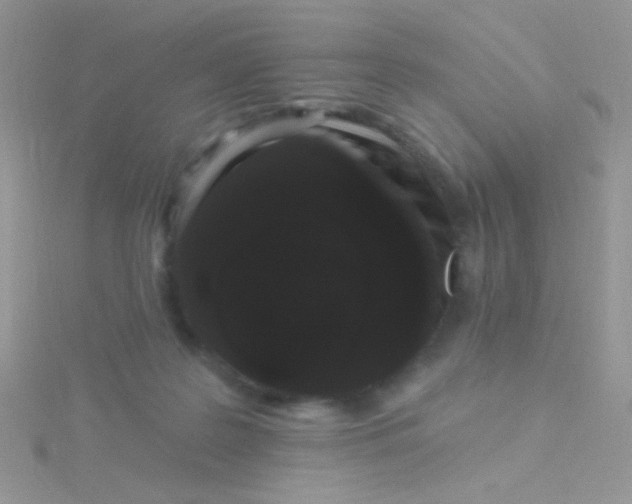 X0000115320219200911231357