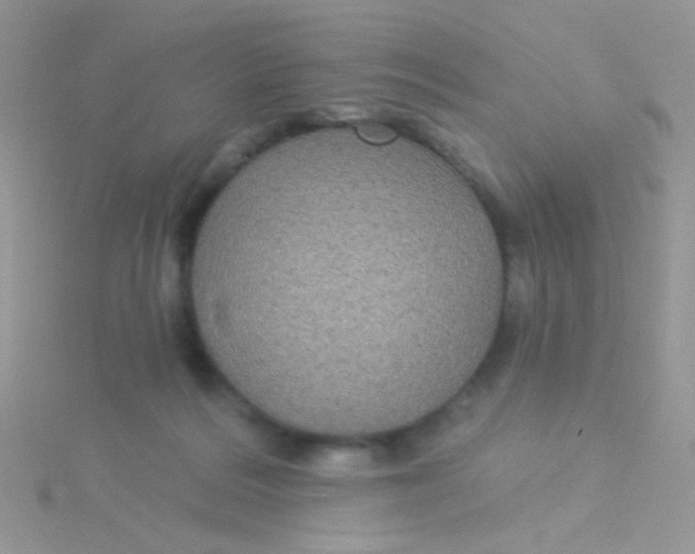 X0000115320220200911231357