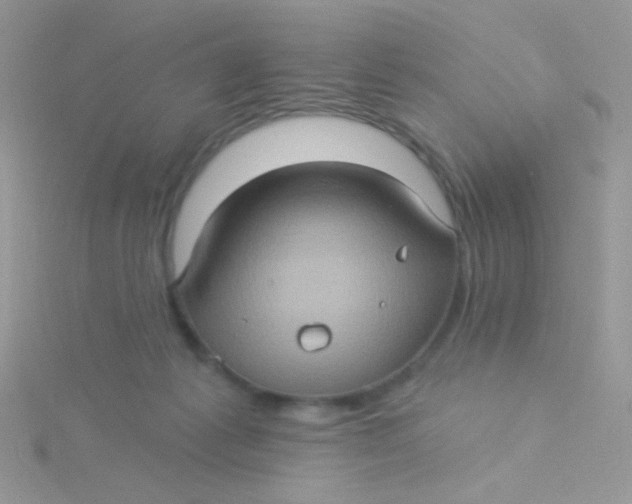 X0000115320221200911231357