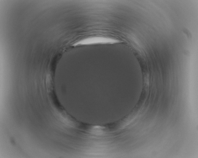 X0000115320222200911231357