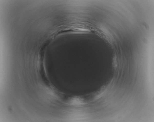 X0000115320223200911231357