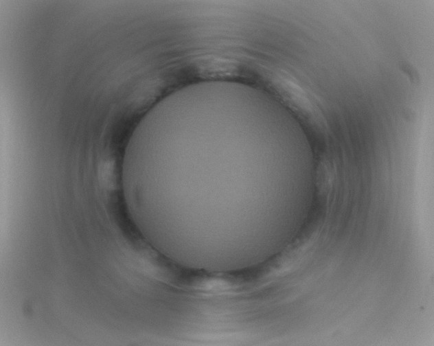 X0000115320224200911231357