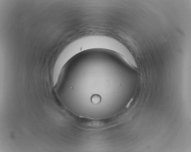 X0000115320225200911231357