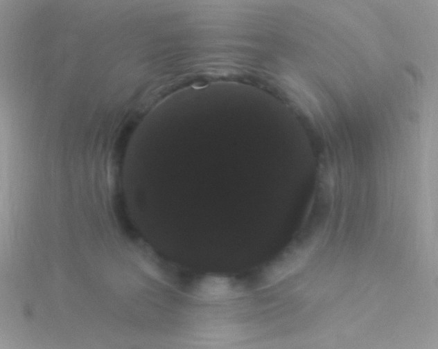 X0000115320227200911231357