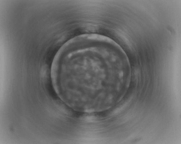 X0000115320228200911231357