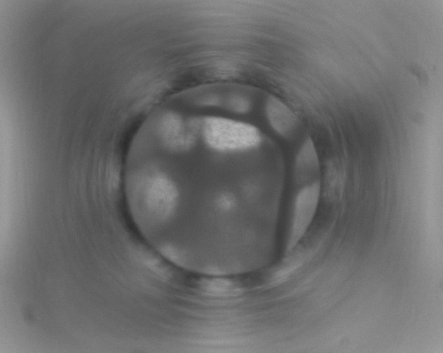 X0000115320230200911231357