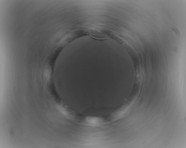 X0000115320231200911231357