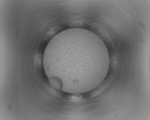 X0000115320232200911231357