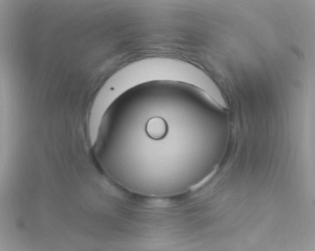 X0000115320233200911231357