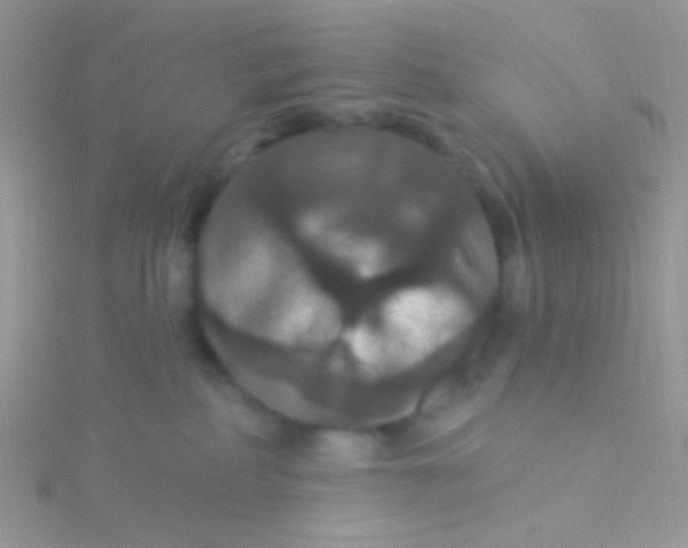 X0000115320234200911231357