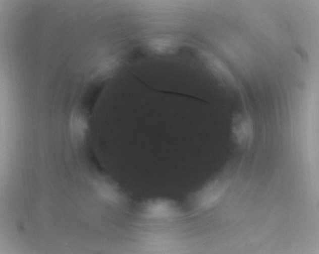 X0000115320235200911231357