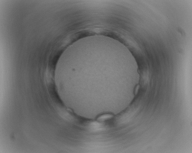 X0000115320236200911231357