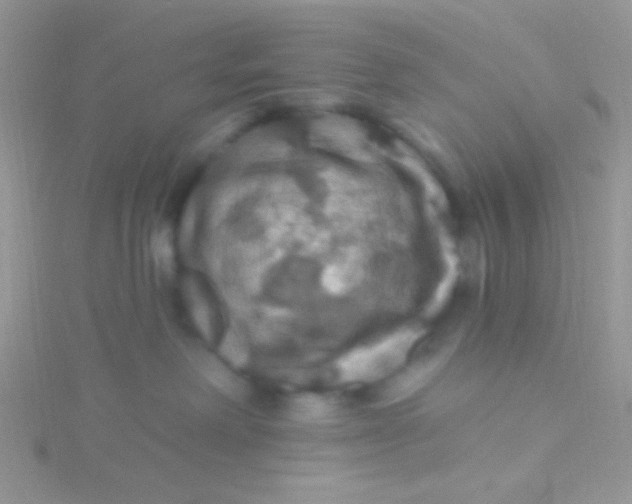 X0000115320238200911231357