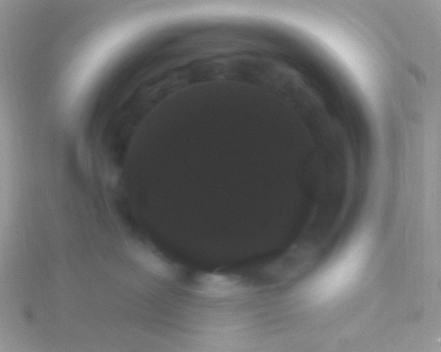 X0000115320239200911231357