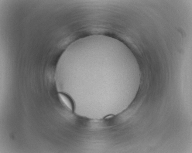 X0000115320240200911231357