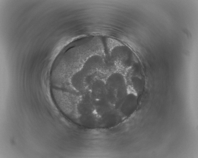 X0000115320241200911231356