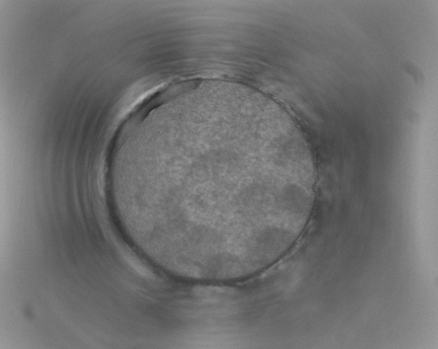 X0000115320242200911231356