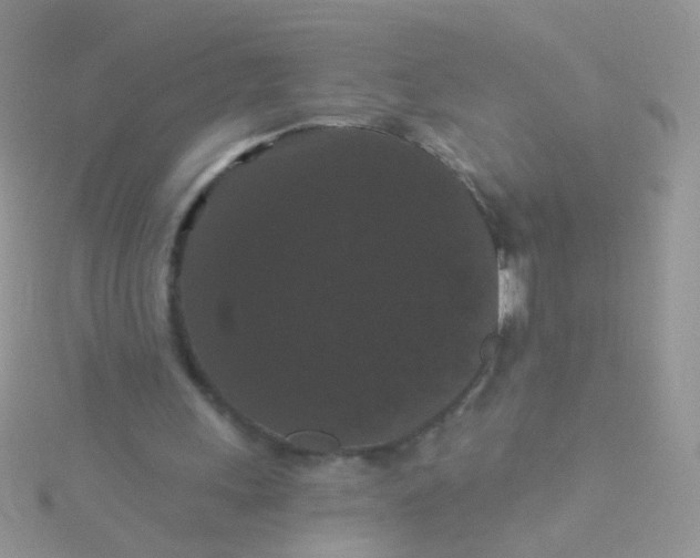 X0000115320243200911231356