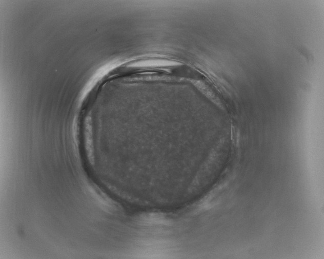 X0000115320244200911231356