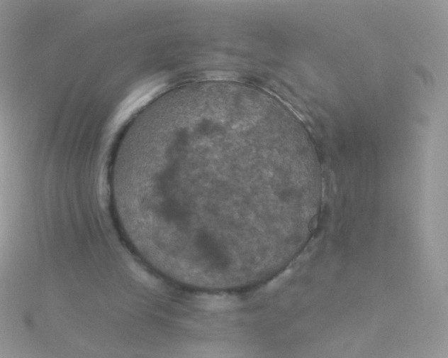 X0000115320245200911231356