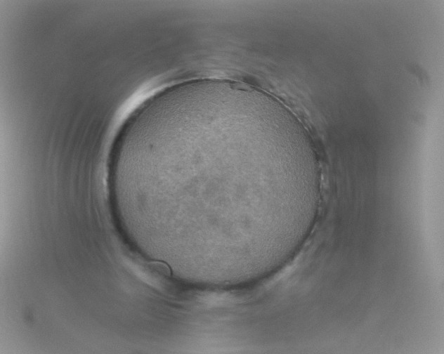 X0000115320246200911231356