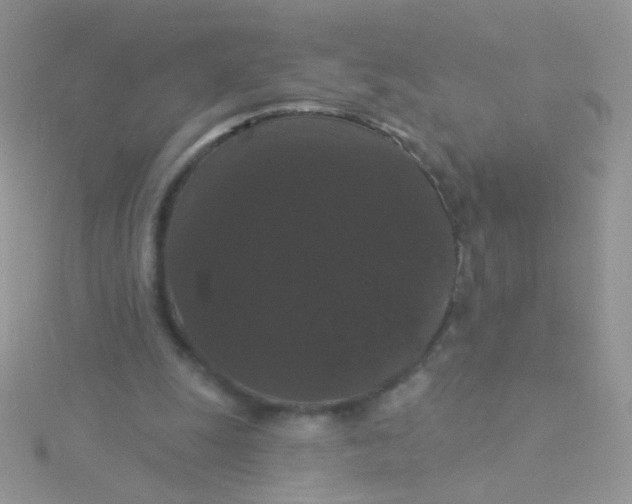 X0000115320247200911231356