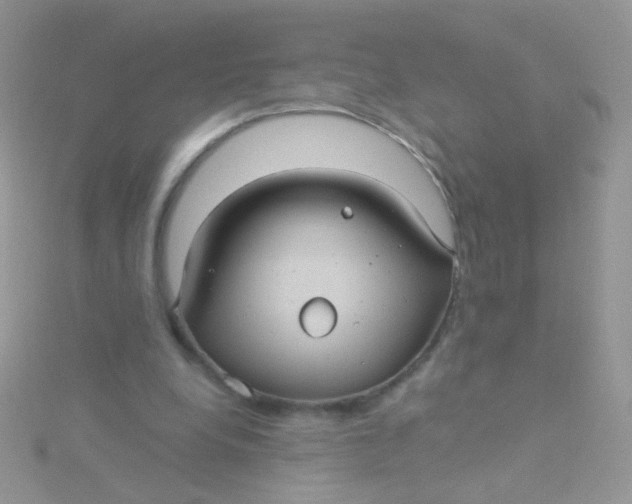 X0000115320248200911231356