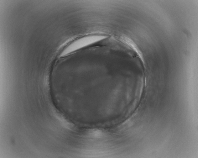 X0000115320249200911231356