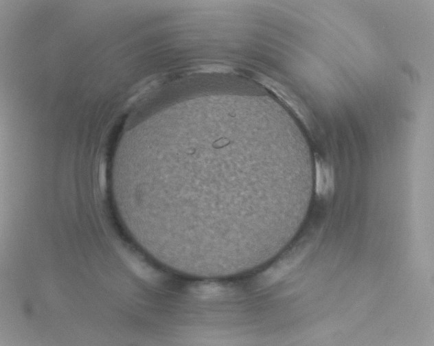 X0000115320253200911231356