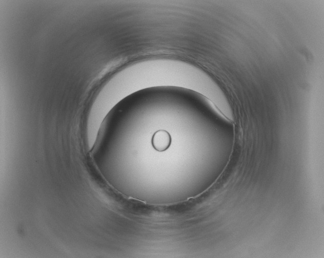 X0000115320256200911231357