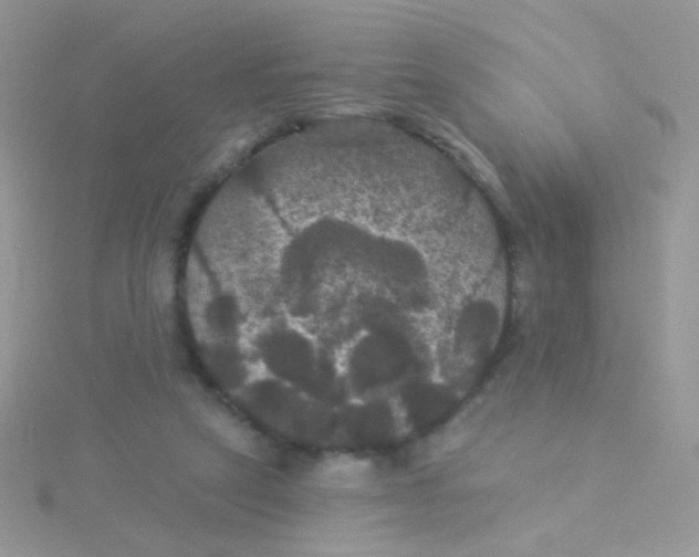 X0000115320257200911231357