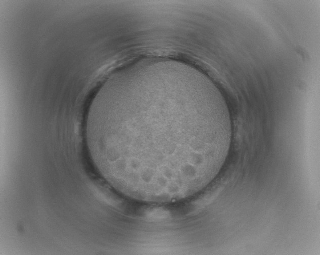 X0000115320258200911231357