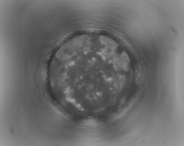 X0000115320259200911231357