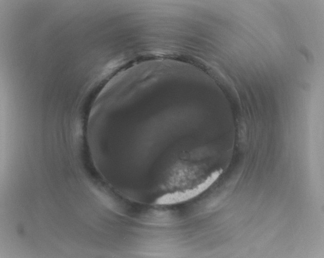 X0000115320260200911231357