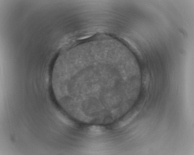 X0000115320261200911231357