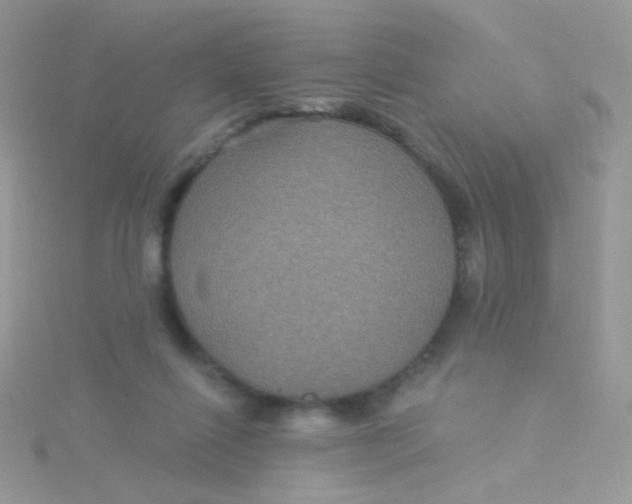 X0000115320262200911231357