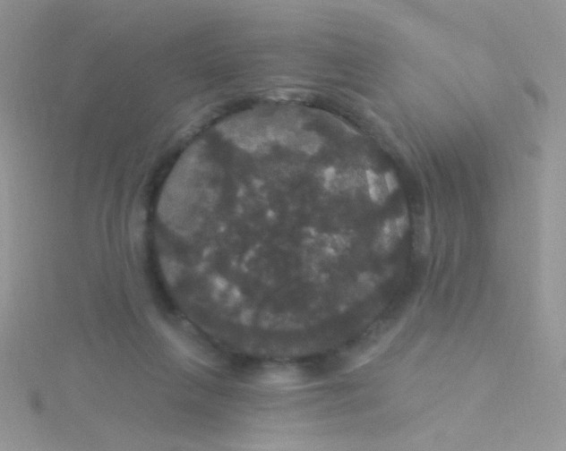 X0000115320263200911231357