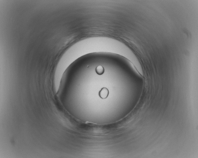 X0000115320264200911231357