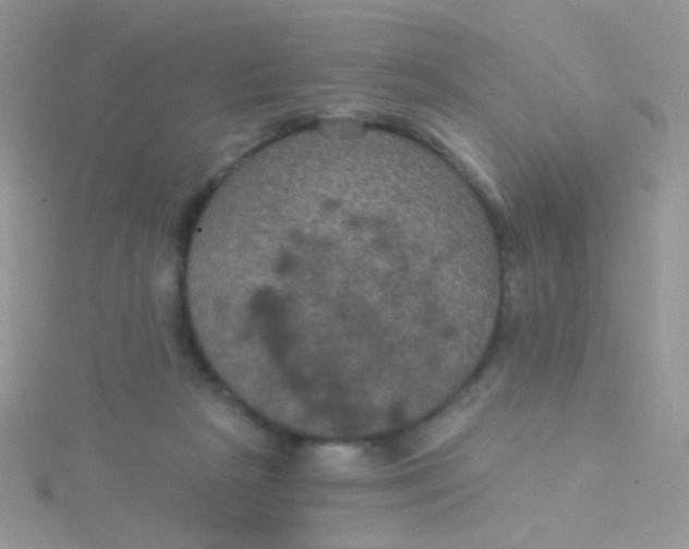 X0000115320265200911231357