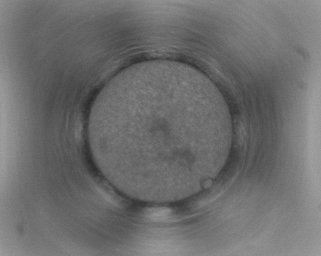 X0000115320266200911231357