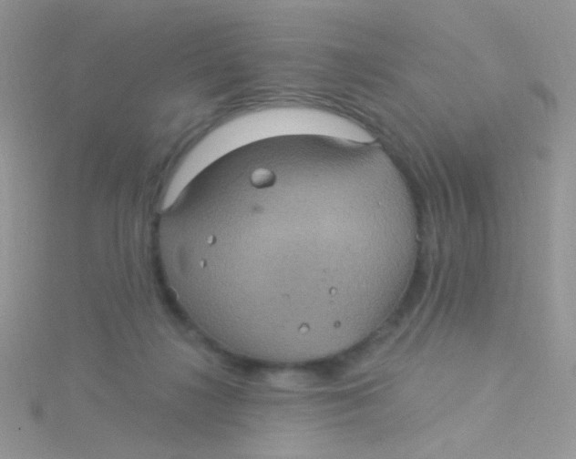 X0000115320268200911231357