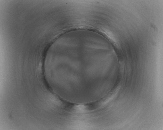 X0000115320269200911231357