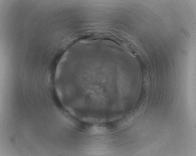 X0000115320270200911231357