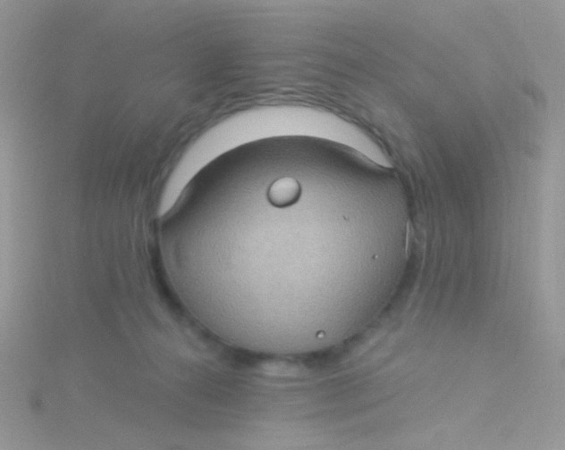 X0000115320272200911231357