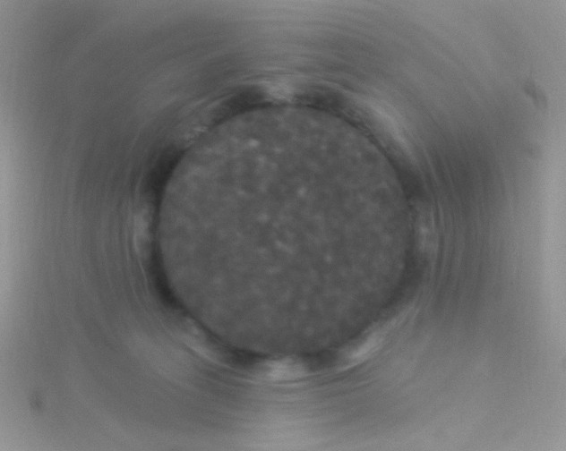 X0000115320275200911231357