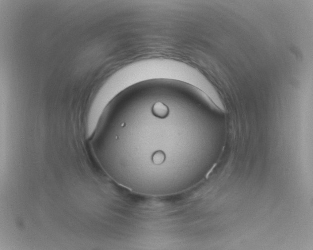 X0000115320276200911231357